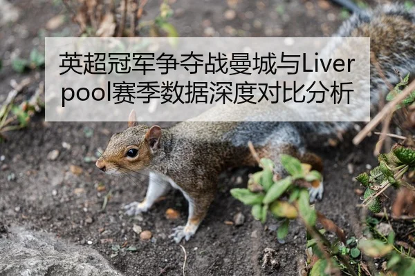 英超冠军争夺战曼城与Liverpool赛季数据深度对比分析
